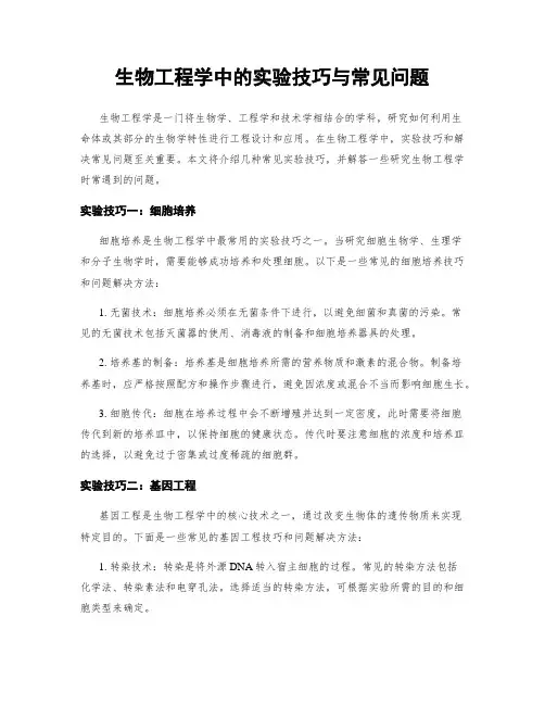 生物工程学中的实验技巧与常见问题