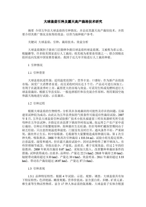 大球盖菇引种及露天高产栽培技术研究