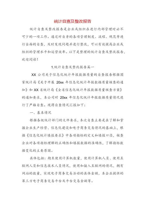 统计自查及整改报告