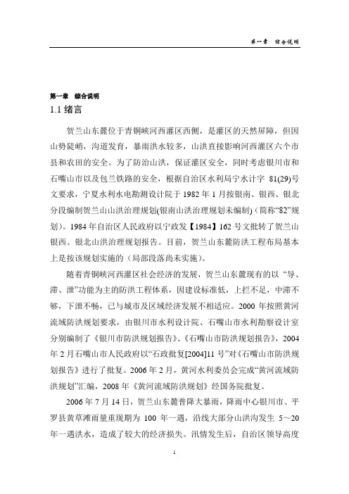 新桥滞洪区工程初设报告-报批稿-定