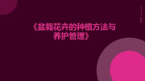 盆栽花卉的种植方法与养护管理
