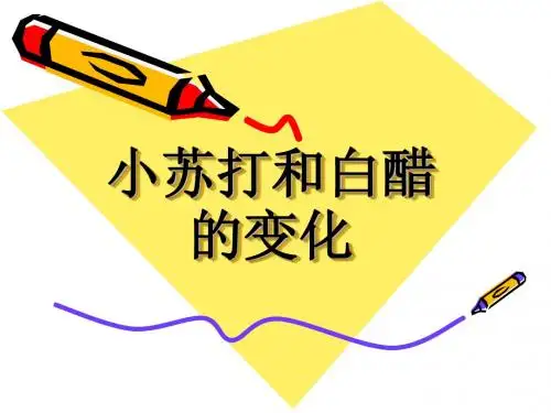 小苏打和白醋的变化PPT (1)