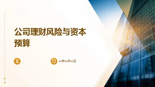 公司理财风险与资本预算