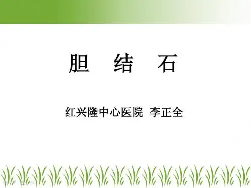 胆石症--李正全