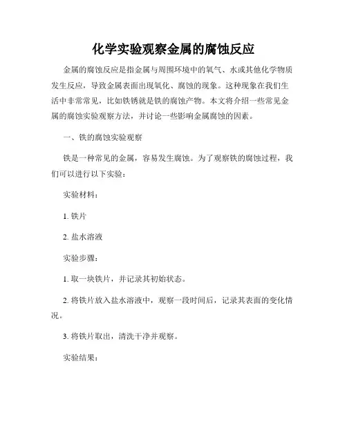 化学实验观察金属的腐蚀反应