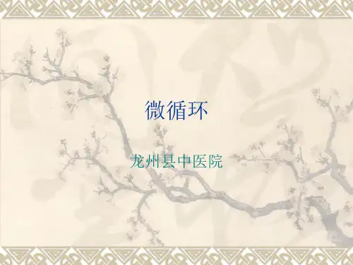 微循环