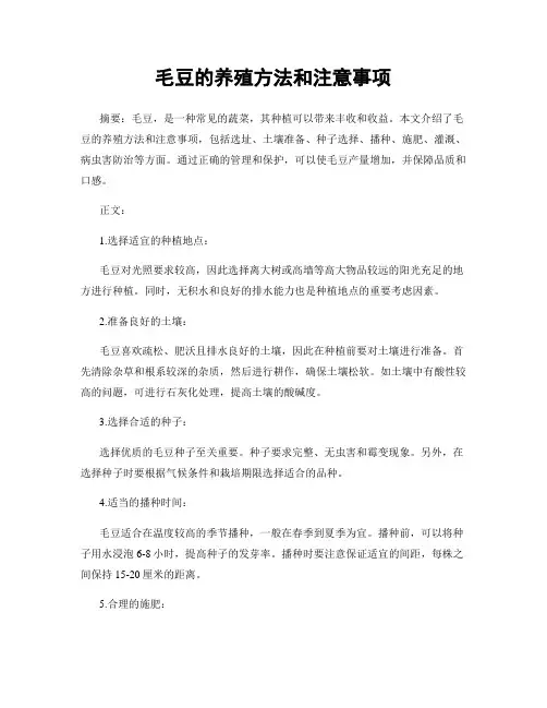 毛豆的养殖方法和注意事项