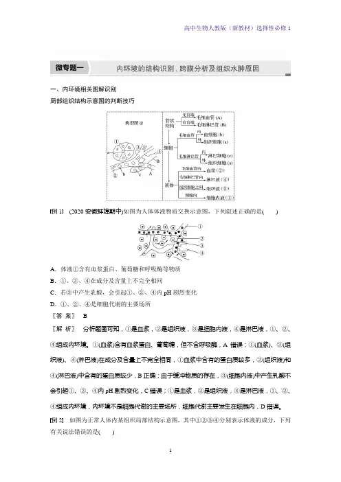 人教版(新教材)高中生物选择性必修1优质微专题一内环境的结构识别、跨膜分析及组织水肿原因