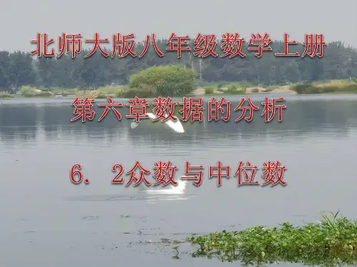 北师大版八年级数学上册第六章6.2.1中位数与众数
