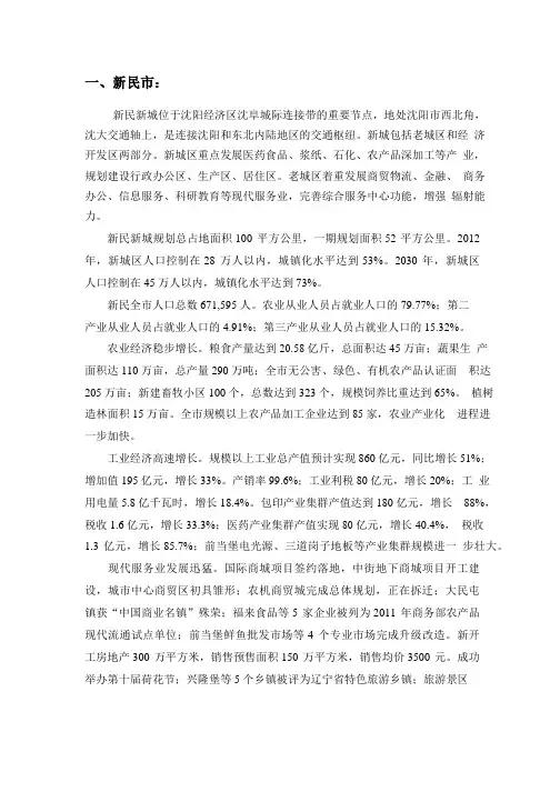 沈阳市新民—胡台新城规划介绍以及东北城商业项目介绍