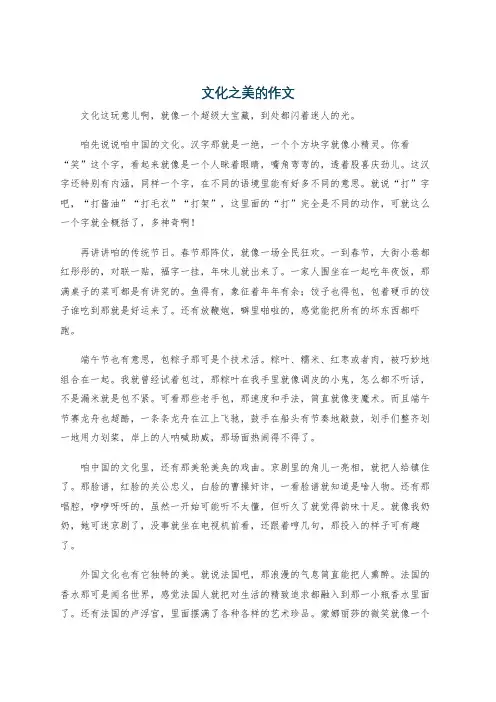 文化之美的作文
