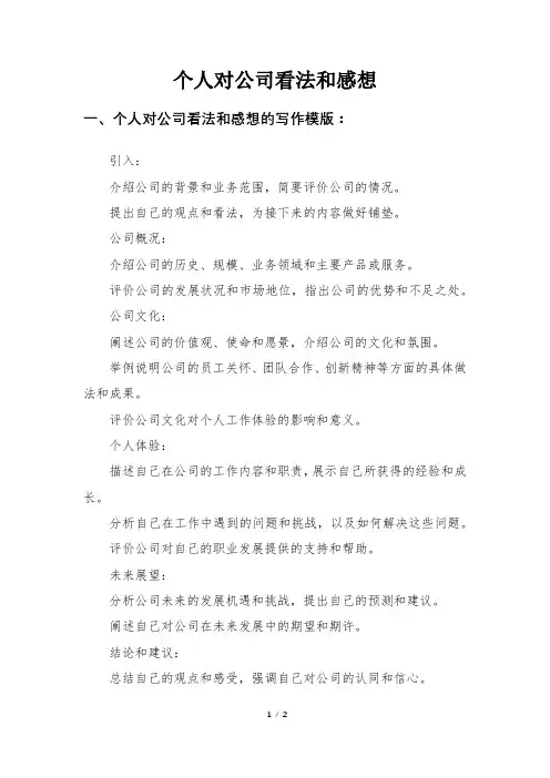 个人对公司看法和感想