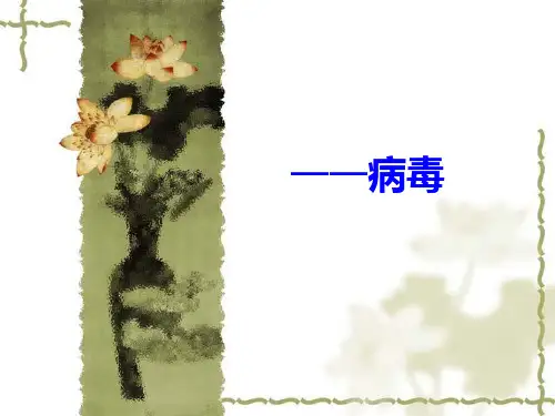 人教版初中生物课标版八年级上册第五单元第五章病毒(共32张PPT)