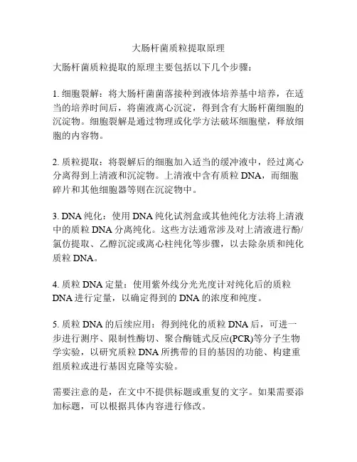 大肠杆菌质粒提取原理