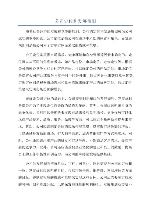 公司定位和发展规划