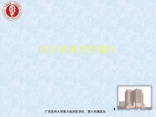 伪膜性肠炎 ppt课件