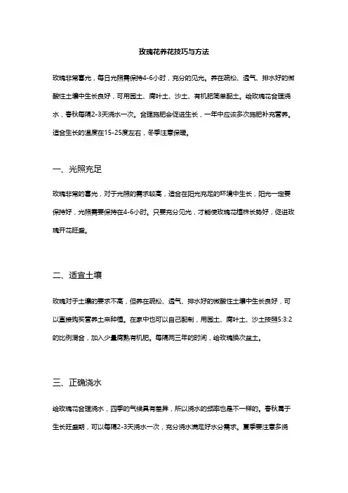 玫瑰花养花技巧与方法
