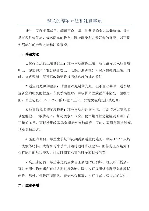 球兰的养殖方法和注意事项
