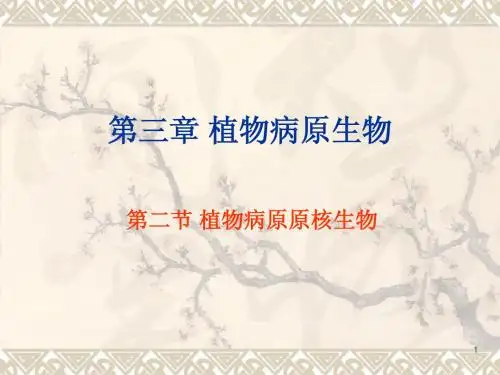 园艺植物病理学 第三章(4) 其它病原生物