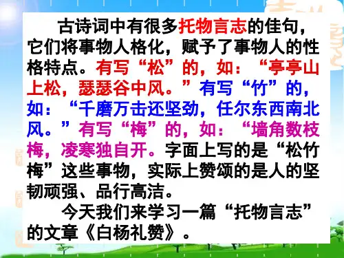 第15课《白杨礼赞》课件(共31张PPT)2023-2024学年统编版语文八年级上册