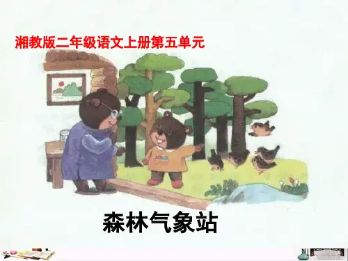 二年级语文上册 森林气象站 ppt课件2