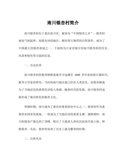 南川银杏村简介