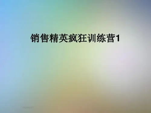 销售精英疯狂训练营1