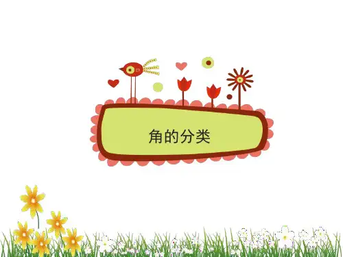 3.角的分类