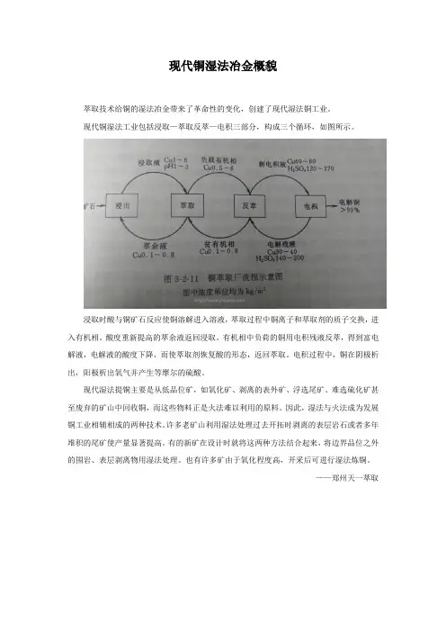 现代铜湿法冶金概貌