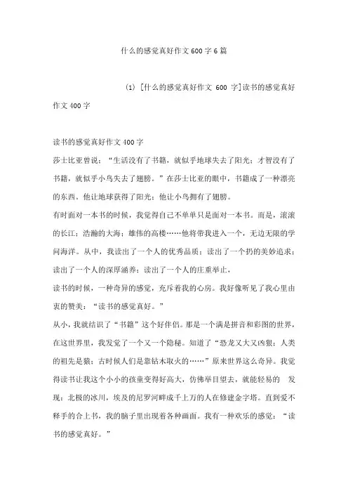 什么的感觉真好作文600字6篇