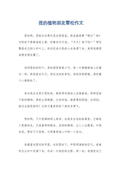 我的植物朋友雪松作文