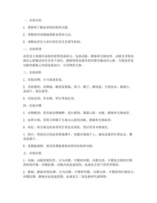 生物观察血管实验报告