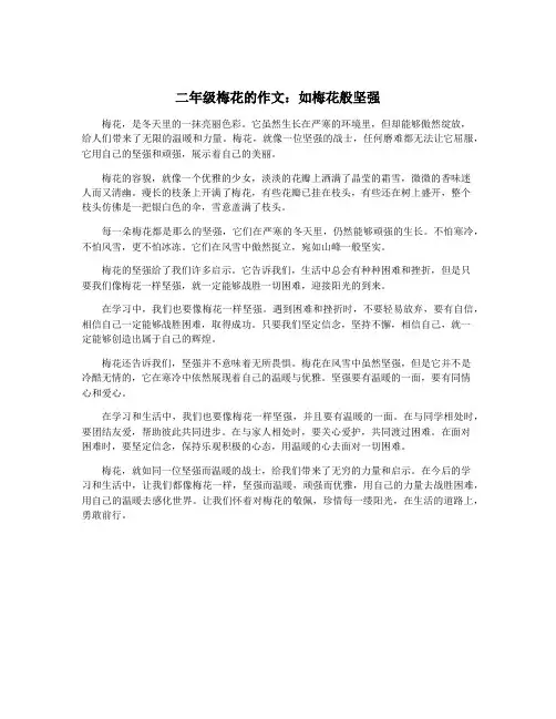 二年级梅花的作文：如梅花般坚强