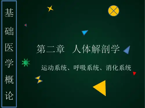 第二章 人体解剖学(运动系统、消化系统、呼吸系统)
