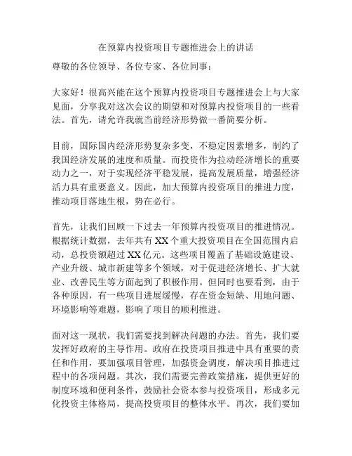 在预算内投资项目专题推进会上的讲话