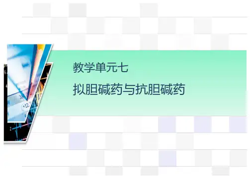 2.2 拟胆碱药与抗胆碱药