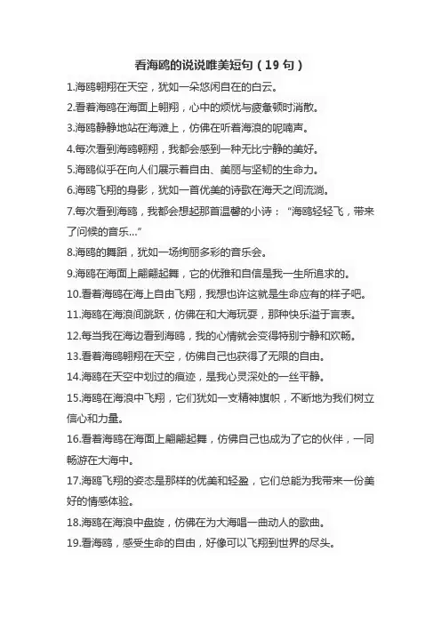 看海鸥的说说唯美短句