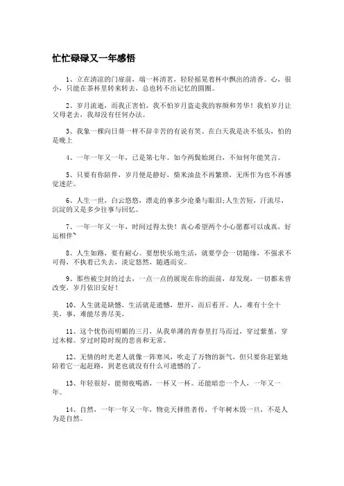 忙忙碌碌又一年感悟