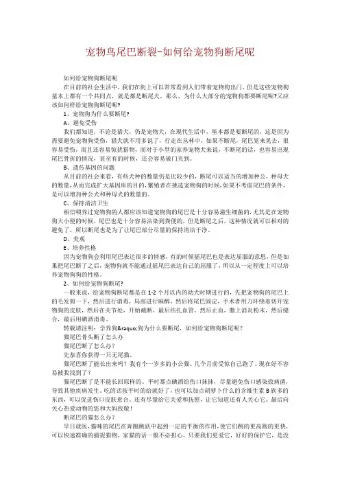 宠物鸟尾巴断裂-如何给宠物狗断尾呢