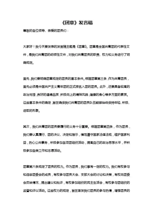 《团章》发言稿