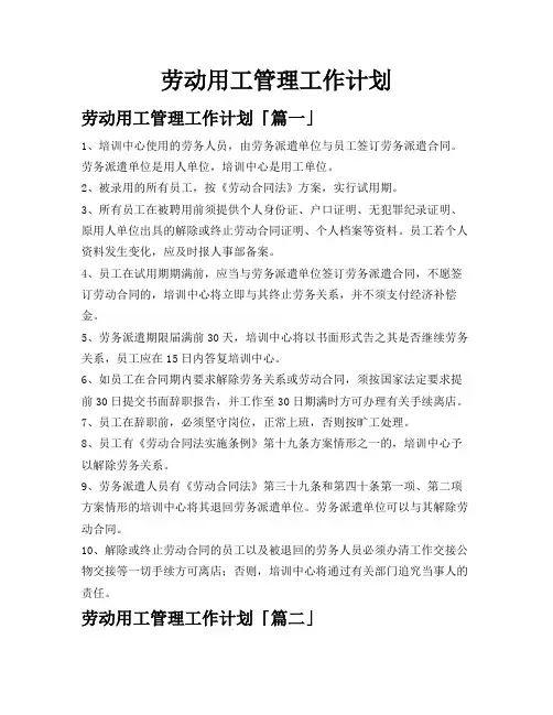劳动用工管理工作计划