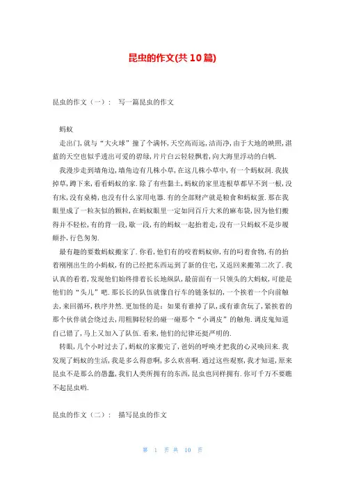 昆虫的作文(共10篇)