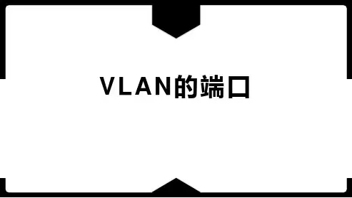 路由交换技术-VLAN的端口