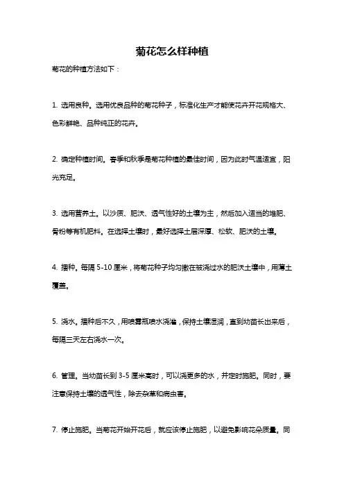 菊花怎么样种植