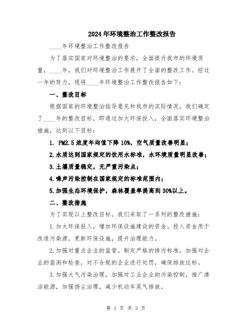 2024年环境整治工作整改报告