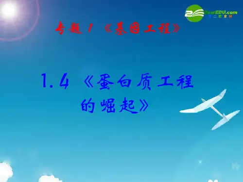 1.4《蛋白质工程的崛起》课件(新人教版-选修3)