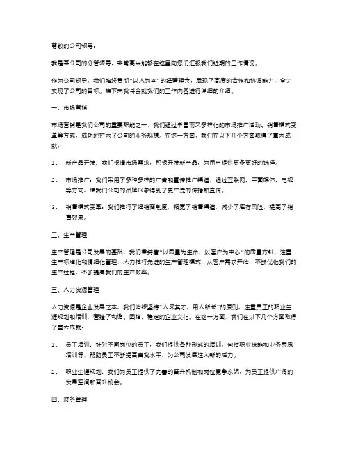 公司分管领导工作述职报告