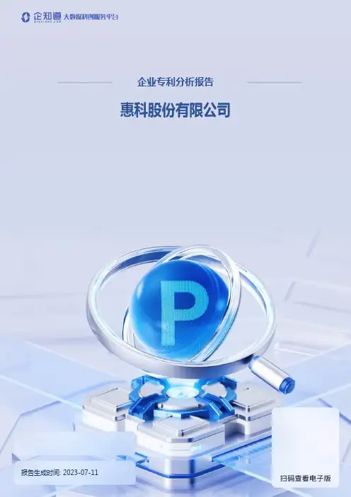 惠科股份有限公司专利分析报告