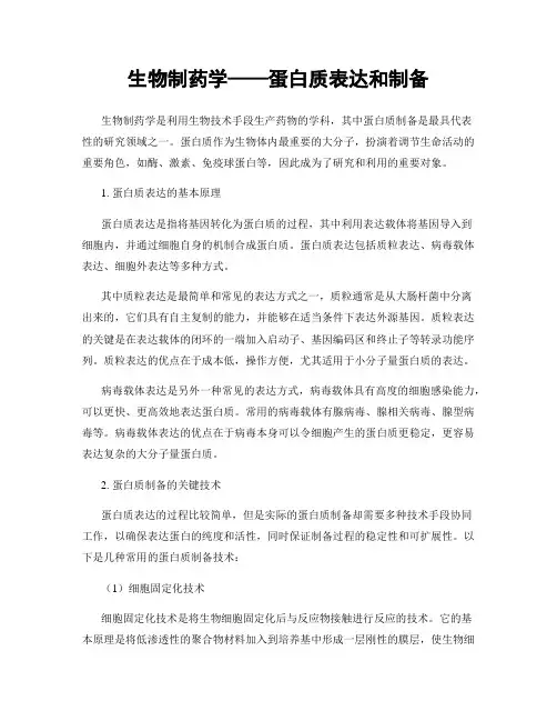 生物制药学——蛋白质表达和制备