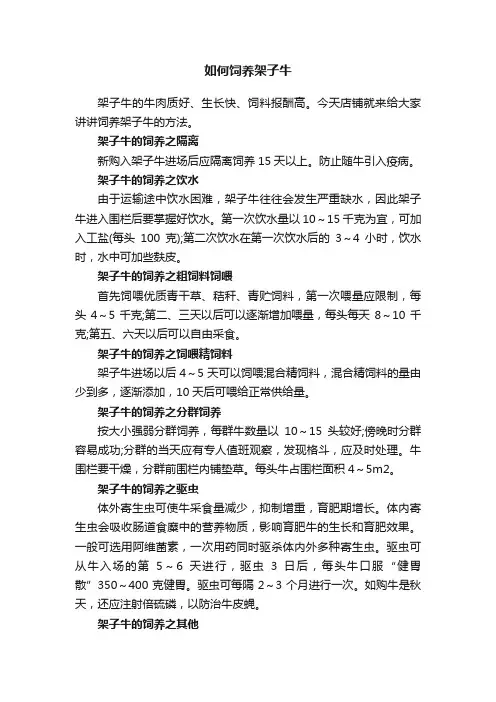 如何饲养架子牛